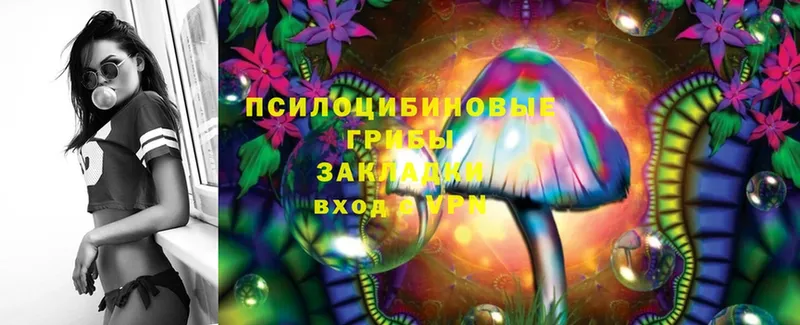 ОМГ ОМГ ссылка  Бежецк  Галлюциногенные грибы Magic Shrooms 